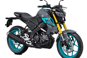 Yamaha MT-15