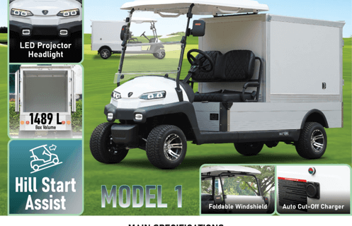Electric Motor E-Golf Cart Model 1