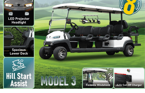 Electric Motor E-Golf Cart Model 3