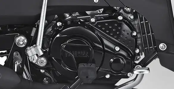 Fuel Injection Vega