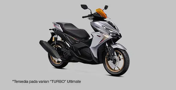 Performance Damper & Special Cover Muffler Aerox Alpha