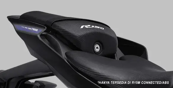 Special Seat Carbon Motif R15