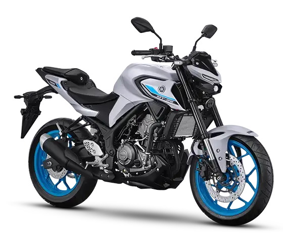 Yamaha MT-25 Metallic Light Grey Exporter Indonesia | Fejo Sekawan